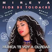 Nunca Te Voy a Olvidar (feat. Jorge Glem & Roman Rojas) artwork