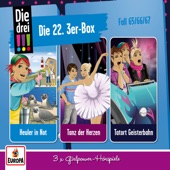 Die 22. 3er Box (Folgen 65-67) artwork