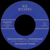 The Melody Mates - Enchantment