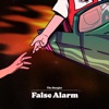 False Alarm - Single