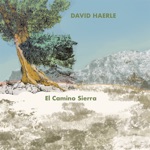 David Haerle - No More We