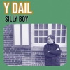 Silly Boy - Single