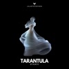 Tarantula - Single, 2024