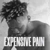 Expensive Pain - Single album lyrics, reviews, download