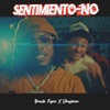 Sentimiento-No (feat. JhaySeven) - Single