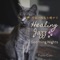 Coffee Table Music - Piano Cats lyrics