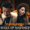 Wake Up harsner - Single