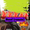 Roof (Remix) - Single album lyrics, reviews, download