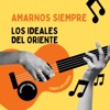 Amarnos Siempre - Single