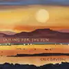 Sailing For the Sun album lyrics, reviews, download