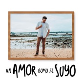 Un Amor Como el Suyo artwork