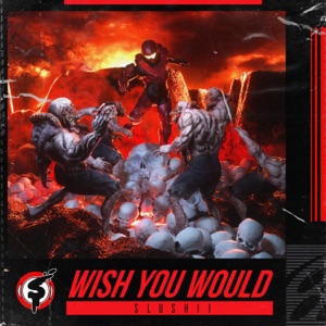 Wish You Would - Single