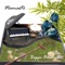 Abu - Beppe Bornaghi lyrics