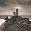 A Ship On Fire In the Night Sees the Shoreline (Live) - Single album lyrics, reviews, download