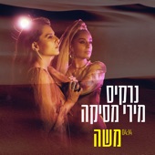 משה artwork