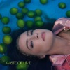 Waste of Lime - Single