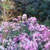 Stephen Bard - This Is Monday Morning