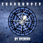 Surrounded by Spiders - Time's Up