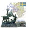 I herrar och grevar och tullinspektor - Östergötlands Sinfonietta & Tomas Blank & Östergötlands Sinfonietta lyrics