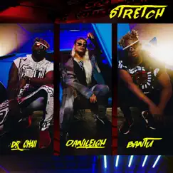 Stretch (feat. DaniLeigh) Song Lyrics