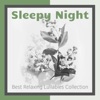 Sleepy Night: Best Relaxing Lullabies Collection