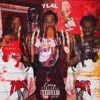 Yl4l