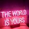 The World Is Yours (feat. Yungg Rambo) - AZO lyrics