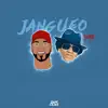 Jangueo (Remix) song lyrics