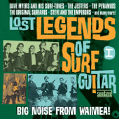 Lost Legends of Surf Guitar: Big Noise From Waimea!, Vol. 1 - Verschillende artiesten