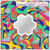 Backside of the TV (feat. Anthony Sardinha, Max Boiko & Khrys Williams) artwork