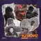 Pass Out (feat. Afodex & Spiffbeats) - Mula & SamboJagga lyrics