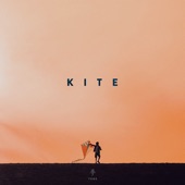 Kite artwork