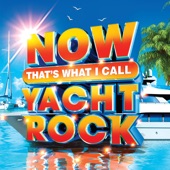 NOW That's What I Call Yacht Rock artwork