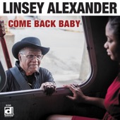 Linsey Alexander - Too Old to Be a New Fool