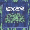 Heuchera - Single