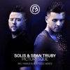 Solis & Sean Truby - Picturesque (Farius Remix)