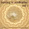 Stream & download Turning in Meditation, Vol.1 - A Fine Selection of Binaural Chill out, Yoga Flow and Deep Electronic Ambient