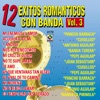 Mi Enemigo El Amor by Pancho Barraza iTunes Track 2