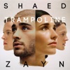 Trampoline (with ZAYN) by SHAED iTunes Track 2