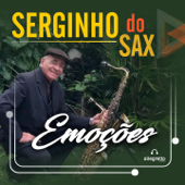 Vide Vida Marvada - Serginho do Sax