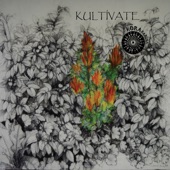 Kumbia Klandestina artwork