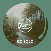 Go Solo (feat. Tom Rosenthal) artwork