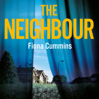 Fiona Cummins - The Neighbour artwork