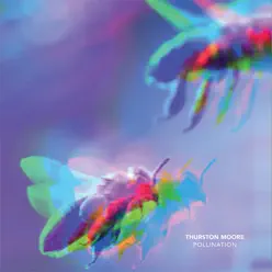 Pollination / Leave Me Alone - Single - Thurston Moore Pollination / Leave Me Alone - Single - Thurston Moore