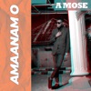 Amaanam O - Single