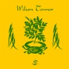 Wilson Tanner - Sun Room