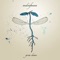Feathers (feat. The Album Leaf) - audiafauna lyrics