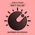 Spicy Collins (Dub Mix) song reviews