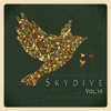 Skydive, Vol. 10