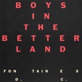 Fontaines D.C. - Boys in the Better Land (Radio Edit)